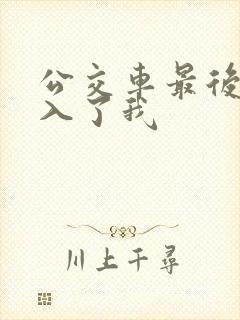 公交车最后一排入了我封面