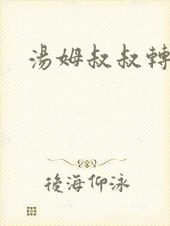 汤姆叔叔转接口