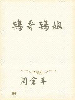 鸨哥鸨姐