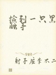 捡到一只黑心小触手封面