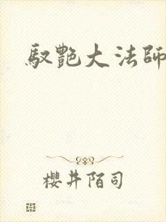 驭艳大法师封面