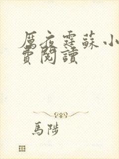 厉夜霆苏小汐免费阅读