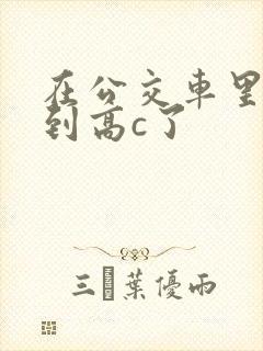 在公交车里c弄到高c了