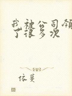 我被公司领导C了很多次