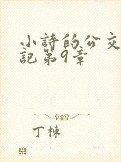 小诗的公交车日记第9章