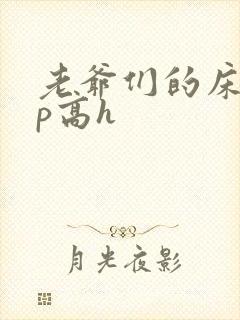 老爷们的床奴np高h