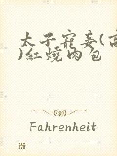 太子宠妾(高肉)红烧肉包