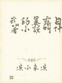 我的暴露日记原著小说叫什么