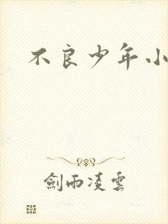 不良少年小说