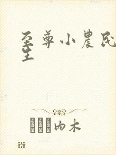 至尊小农民王木生