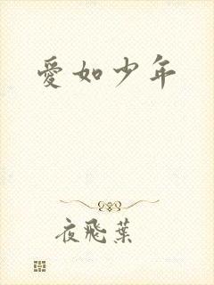 爱如少年