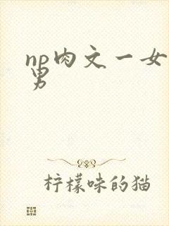 np肉文一女多男封面