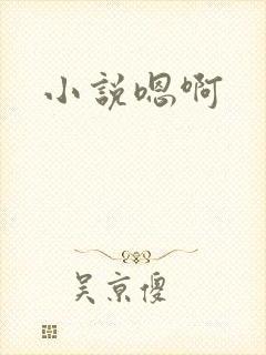小说嗯啊