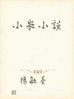 小米小说