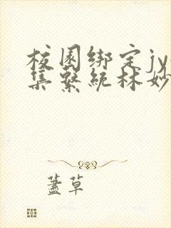 校园绑定jy收集系统林妙妙