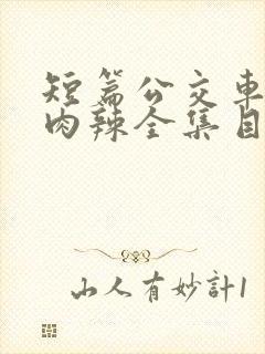 短篇公交车高h肉辣全集目录封面