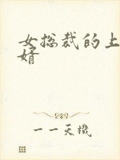 女总裁的上门女婿