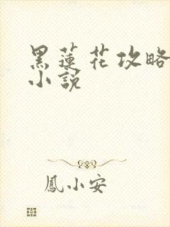黑莲花攻略手册小说