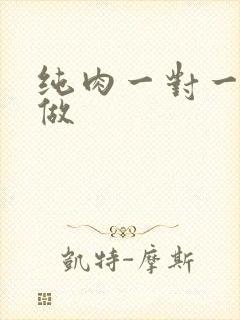 纯肉一对一到处做