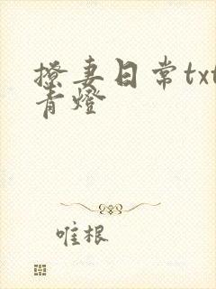 撩妻日常txt青灯