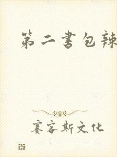 第二书包辣文