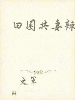 田园共妻辣封面