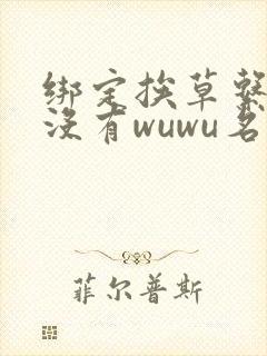 绑定挨草系统后没有wuwu名字