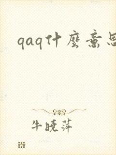 qaq什么意思封面