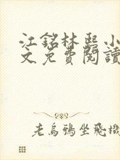 江铭林熙小说全文免费阅读