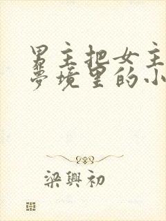 男主把女主拖进梦境里的小说