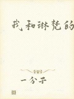 我和琳梵的故事