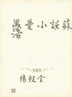 愚爱小说苏倩孙浩