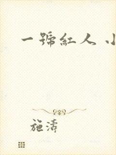 一号红人 小说