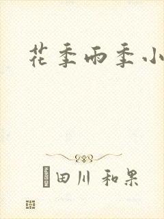 花季雨季小说封面