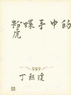 粉蝶手中的纸老虎