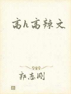 高h高辣文