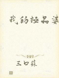 我的极品婆婆封面