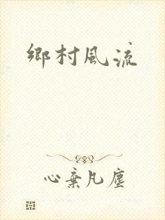 乡村风流封面