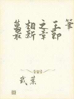 万相之王笔趣阁最新章节