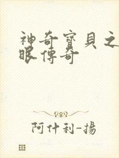 神奇宝贝之写轮眼传奇封面