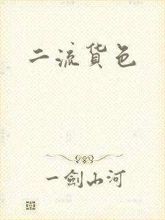 二流货色封面