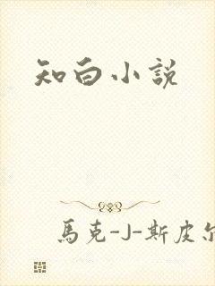 知白小说