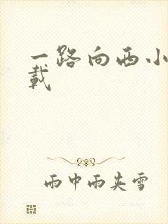 一路向西小说下载