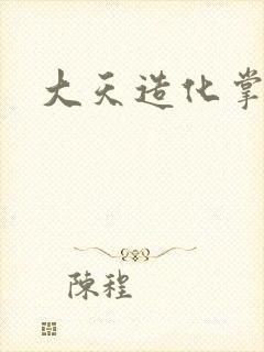 大天造化掌封面