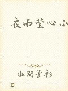 夜雨莹心小说封面