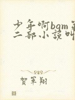 少年啊bgm第二部小说叫什么