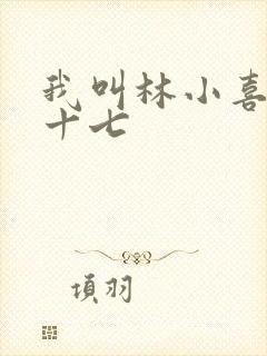 我叫林小喜今年十七