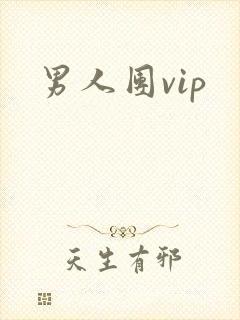 男人团vip封面