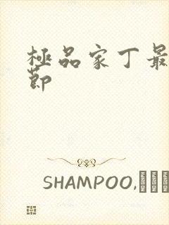 极品家丁最新章节