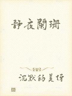 静夜阑珊封面